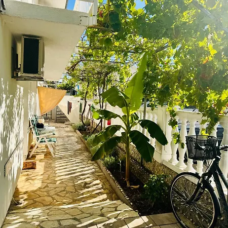 Kiwi, Apartman